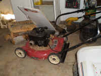 Gas Lawn Mower.JPG.jpg (104433 bytes)