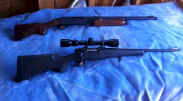 scope rifle.jpg (110773 bytes)