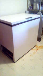 freezer.jpg (45857 bytes)