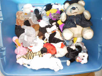 beanie babies.jpg (78876 bytes)